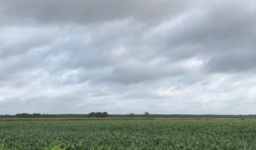 Photo of SOLD!  25 Acres of Farmland For Sale in Hyde County NC!