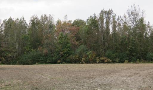 Photo of UNDER CONTRACT!  6.95 Acres of Residential Hunting and Farm Land for Sale in Columbus County NC!