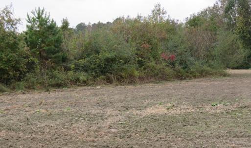 Photo of UNDER CONTRACT!  6.95 Acres of Residential Hunting and Farm Land for Sale in Columbus County NC!
