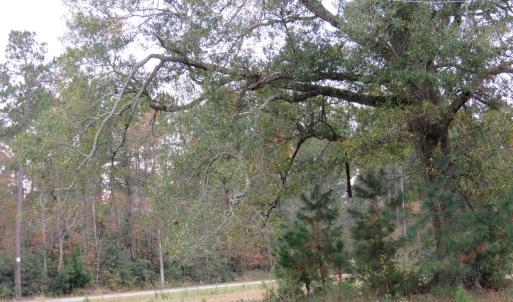 Photo of UNDER CONTRACT!  6.95 Acres of Residential Hunting and Farm Land for Sale in Columbus County NC!
