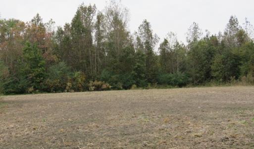 Photo of UNDER CONTRACT!  6.95 Acres of Residential Hunting and Farm Land for Sale in Columbus County NC!