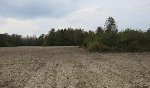 Photo of UNDER CONTRACT!  6.95 Acres of Residential Hunting and Farm Land for Sale in Columbus County NC!