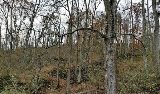 Photo of UNDER CONTRACT!  93 Acres of Hunting Land For Sale in Rockbridge County VA!