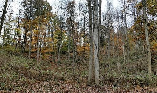 Photo of UNDER CONTRACT!  93 Acres of Hunting Land For Sale in Rockbridge County VA!