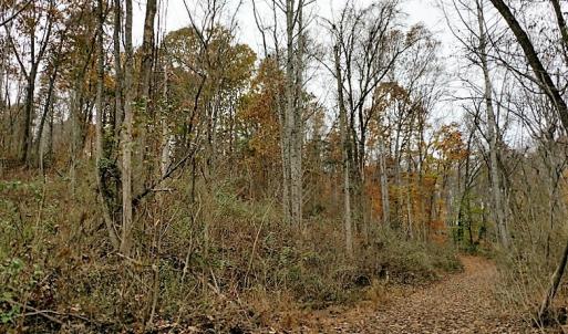Photo of UNDER CONTRACT!  93 Acres of Hunting Land For Sale in Rockbridge County VA!