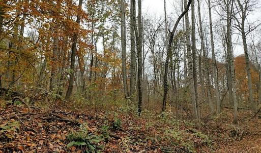 Photo of UNDER CONTRACT!  93 Acres of Hunting Land For Sale in Rockbridge County VA!