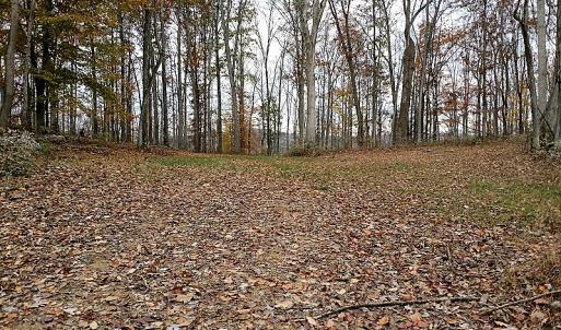 Photo of UNDER CONTRACT!  93 Acres of Hunting Land For Sale in Rockbridge County VA!