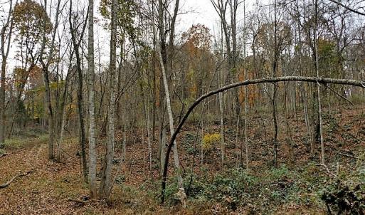 Photo of UNDER CONTRACT!  93 Acres of Hunting Land For Sale in Rockbridge County VA!