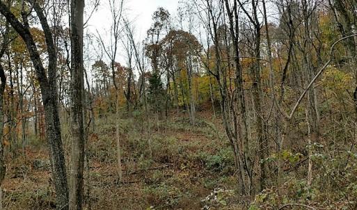 Photo of UNDER CONTRACT!  93 Acres of Hunting Land For Sale in Rockbridge County VA!
