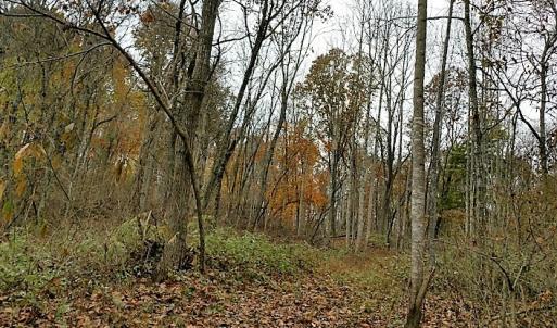 Photo of UNDER CONTRACT!  93 Acres of Hunting Land For Sale in Rockbridge County VA!