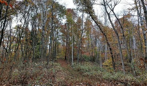 Photo of UNDER CONTRACT!  93 Acres of Hunting Land For Sale in Rockbridge County VA!