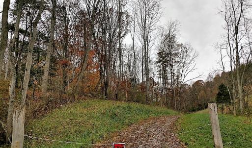 Photo of UNDER CONTRACT!  93 Acres of Hunting Land For Sale in Rockbridge County VA!