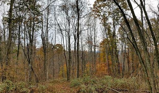 Photo of UNDER CONTRACT!  93 Acres of Hunting Land For Sale in Rockbridge County VA!