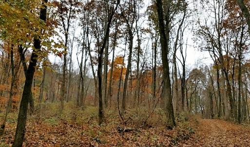 Photo of UNDER CONTRACT!  93 Acres of Hunting Land For Sale in Rockbridge County VA!