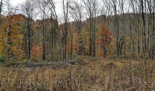 Photo of UNDER CONTRACT!  93 Acres of Hunting Land For Sale in Rockbridge County VA!