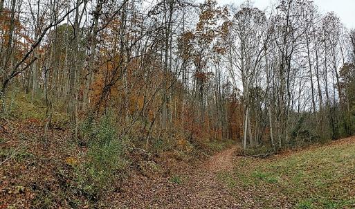 Photo of UNDER CONTRACT!  93 Acres of Hunting Land For Sale in Rockbridge County VA!