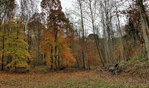 Photo of UNDER CONTRACT!  93 Acres of Hunting Land For Sale in Rockbridge County VA!