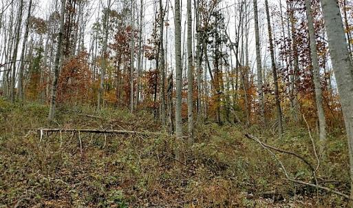 Photo of UNDER CONTRACT!  93 Acres of Hunting Land For Sale in Rockbridge County VA!