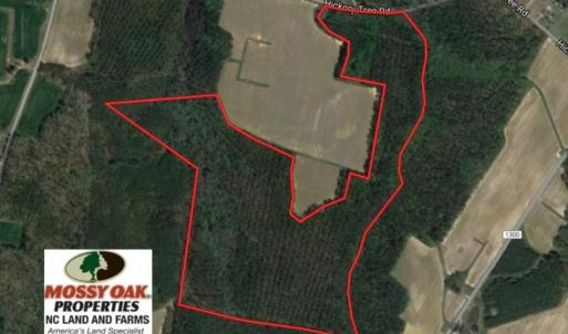 Photo of UNDER CONTRACT!  72 Acres of Hunting and Managed Timber Land For Sale in Northampton County NC!