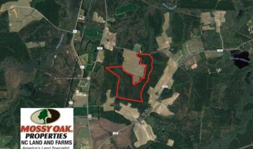 Photo of UNDER CONTRACT!  72 Acres of Hunting and Managed Timber Land For Sale in Northampton County NC!