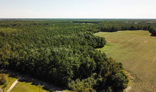 Photo of UNDER CONTRACT!  72 Acres of Hunting and Managed Timber Land For Sale in Northampton County NC!