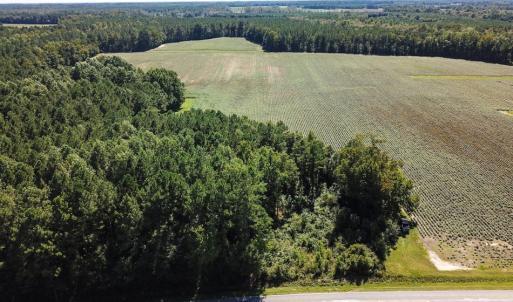 Photo of UNDER CONTRACT!  72 Acres of Hunting and Managed Timber Land For Sale in Northampton County NC!