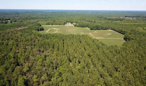 Photo of UNDER CONTRACT!  72 Acres of Hunting and Managed Timber Land For Sale in Northampton County NC!