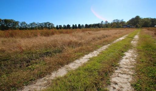 Photo of UNDER CONTRACT!  25 Acres of Residential and Farm Land For Sale in Hoke County NC!