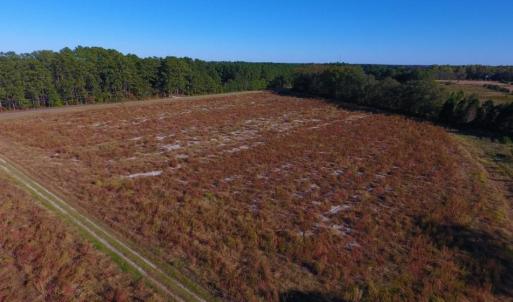 Photo of UNDER CONTRACT!  25 Acres of Residential and Farm Land For Sale in Hoke County NC!