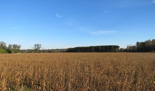 Photo of SOLD!  112 Acres of Farm and Recreational Land For Sale in Robeson County NC!