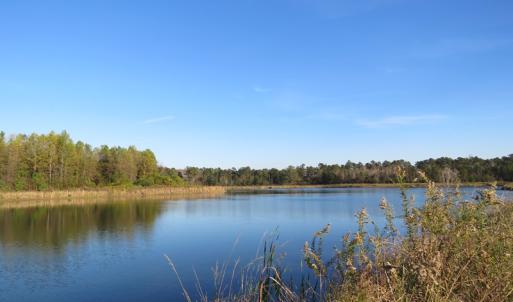 Photo of SOLD!  112 Acres of Farm and Recreational Land For Sale in Robeson County NC!