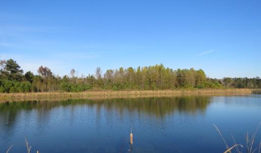 Photo of SOLD!  112 Acres of Farm and Recreational Land For Sale in Robeson County NC!