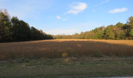 Photo of SOLD!  112 Acres of Farm and Recreational Land For Sale in Robeson County NC!