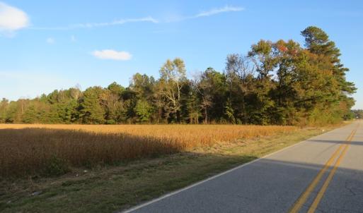 Photo of SOLD!  112 Acres of Farm and Recreational Land For Sale in Robeson County NC!
