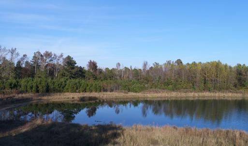 Photo of SOLD!  112 Acres of Farm and Recreational Land For Sale in Robeson County NC!