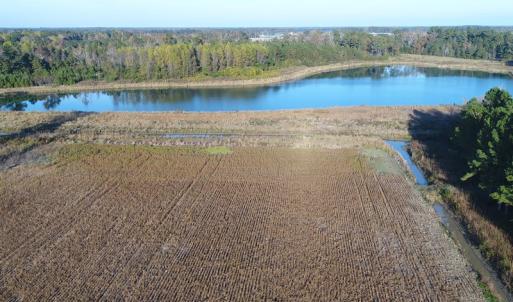Photo of SOLD!  112 Acres of Farm and Recreational Land For Sale in Robeson County NC!