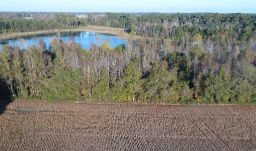Photo of SOLD!  112 Acres of Farm and Recreational Land For Sale in Robeson County NC!