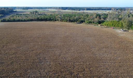 Photo of SOLD!  112 Acres of Farm and Recreational Land For Sale in Robeson County NC!