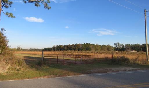 Photo of SOLD!  112 Acres of Farm and Recreational Land For Sale in Robeson County NC!