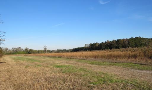 Photo of SOLD!  112 Acres of Farm and Recreational Land For Sale in Robeson County NC!