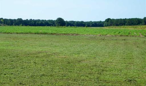 Photo of 0.36  Acre Residential Lot For Sale in Southampton County VA!