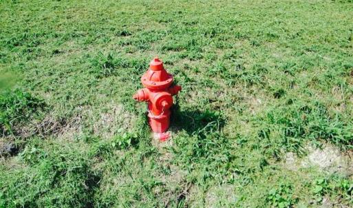 Photo of 0.36  Acre Residential Lot For Sale in Southampton County VA!