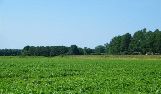Photo of 0.36  Acre Residential Lot For Sale in Southampton County VA!
