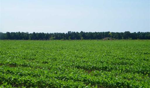 Photo of 0.41 Acre Residential Lot For Sale in Southampton County VA!