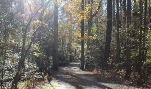 Photo of UNDER CONTRACT!  12.7 Acres of Residential Hunting Land For Sale in Isle of Wight County VA!