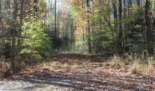 Photo of UNDER CONTRACT!  12.7 Acres of Residential Hunting Land For Sale in Isle of Wight County VA!