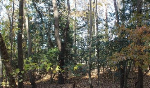 Photo of UNDER CONTRACT!  12.7 Acres of Residential Hunting Land For Sale in Isle of Wight County VA!