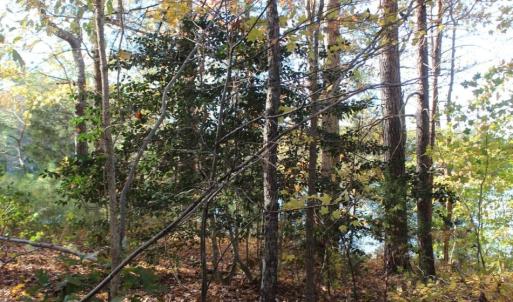 Photo of UNDER CONTRACT!  12.7 Acres of Residential Hunting Land For Sale in Isle of Wight County VA!