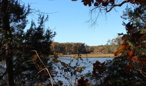Photo of UNDER CONTRACT!  12.7 Acres of Residential Hunting Land For Sale in Isle of Wight County VA!