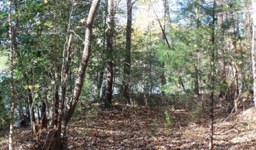 Photo of UNDER CONTRACT!  12.7 Acres of Residential Hunting Land For Sale in Isle of Wight County VA!